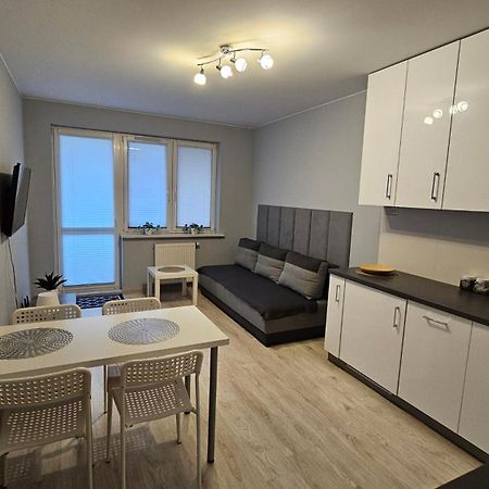 Jedenastka Apartment ปวอตสก์ ภายนอก รูปภาพ