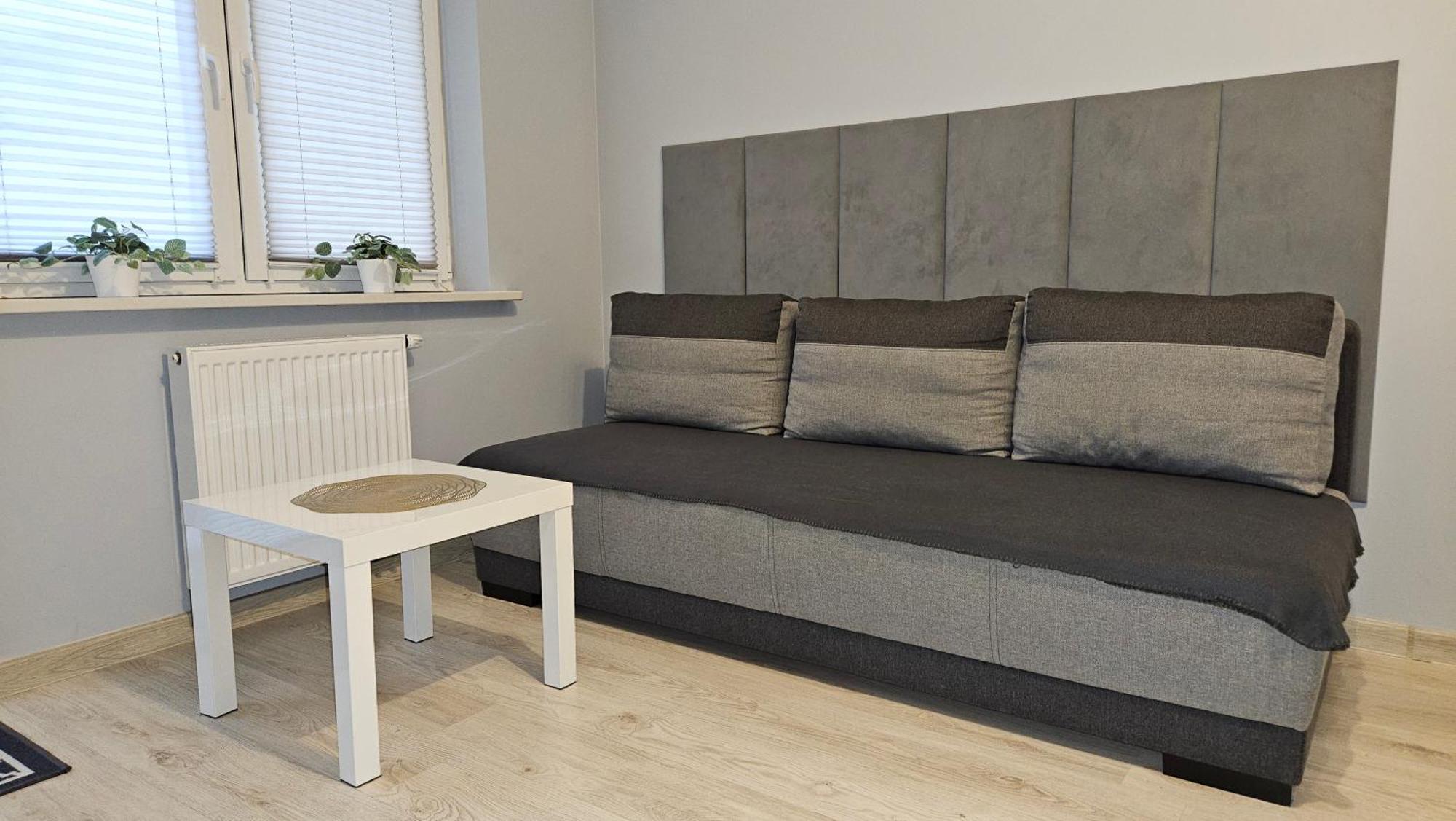 Jedenastka Apartment ปวอตสก์ ภายนอก รูปภาพ