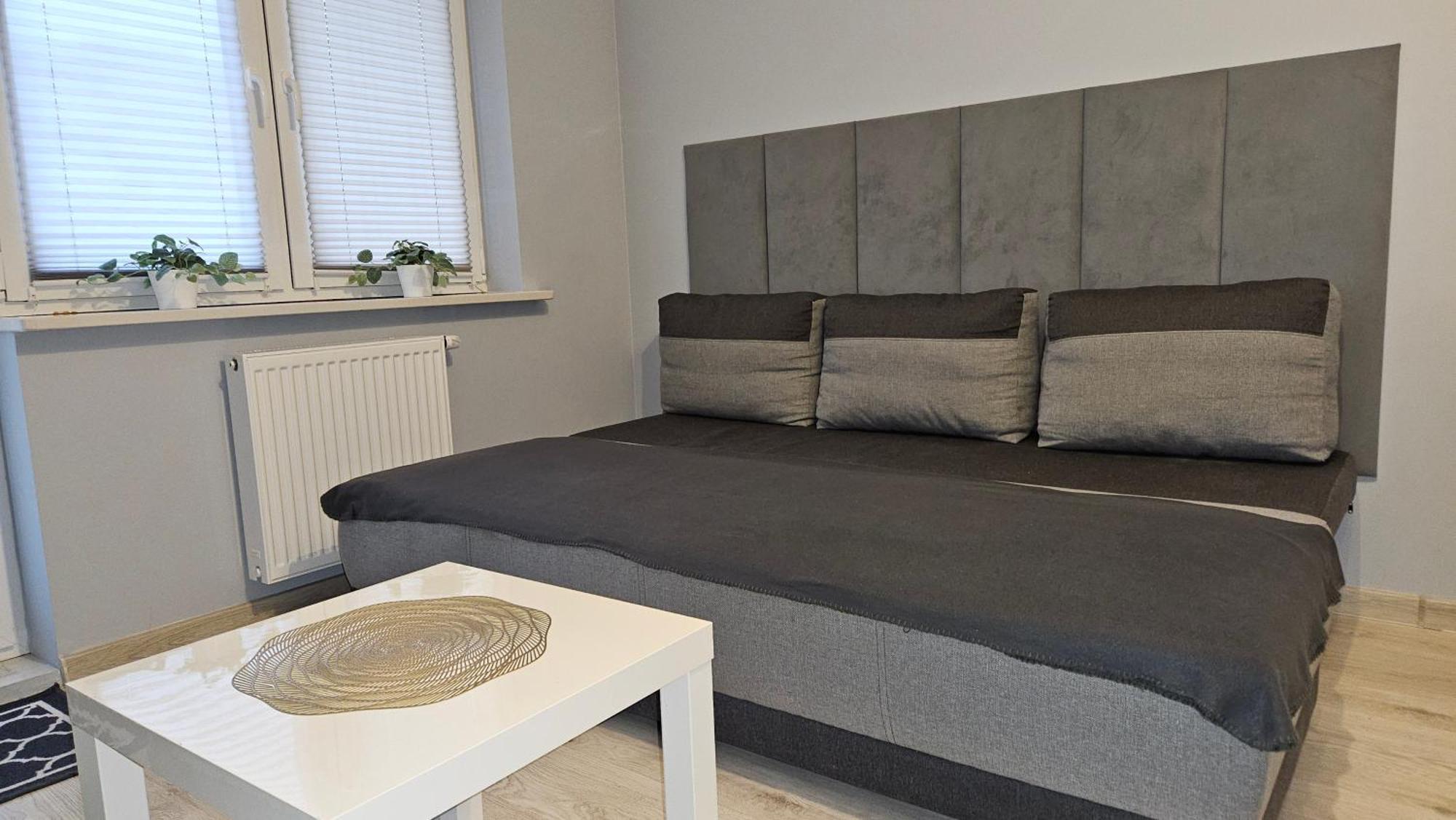 Jedenastka Apartment ปวอตสก์ ภายนอก รูปภาพ